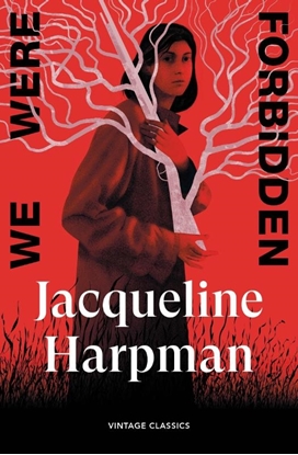 Afbeeldingen van Brief Encounters We Were Forbidden