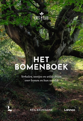 Afbeeldingen van Het bomenboek