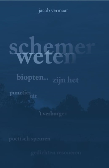 Afbeelding van Schemerweten