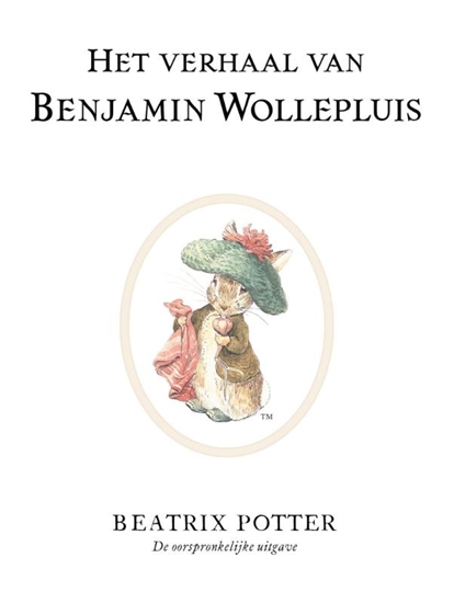 Afbeelding van Het verhaal van Benjamin Wollepluis