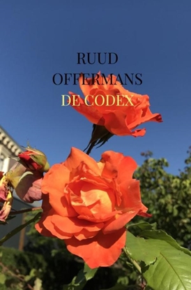 Afbeeldingen van De Codex