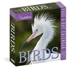 Afbeelding van Audubon Birds Page-A-Day® Calendar 2027