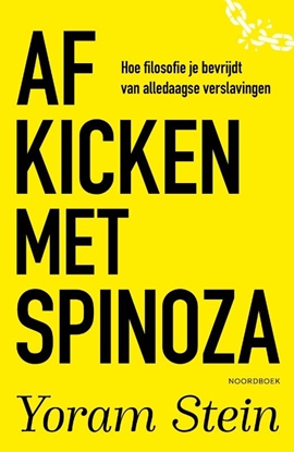 Afbeeldingen van Afkicken met Spinoza