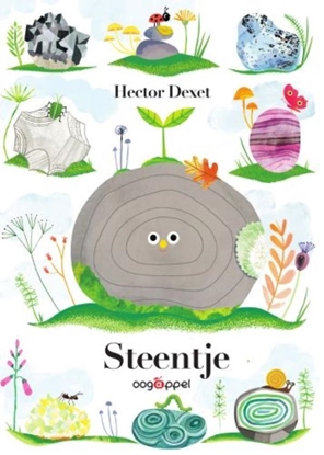 Afbeeldingen van Steentje