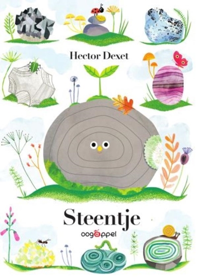 Afbeelding van Steentje