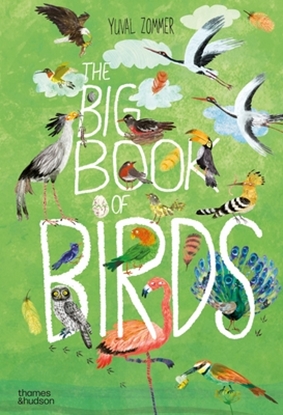 Afbeeldingen van The Big Book series The Big Book of Birds