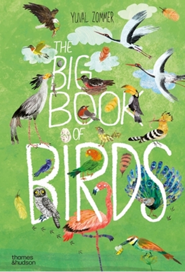 Afbeelding van The Big Book series The Big Book of Birds