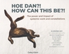 Afbeelding van Hoe dan?!