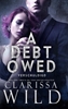 Afbeelding van A Debt Owed: Verschuldigd