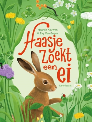 Afbeeldingen van Haasje zoekt een ei
