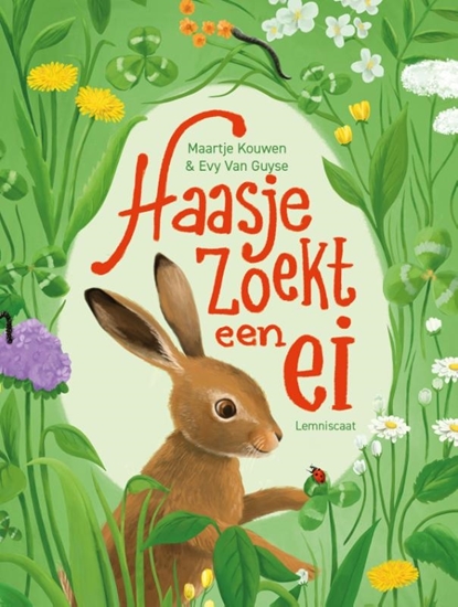 Afbeelding van Haasje zoekt een ei