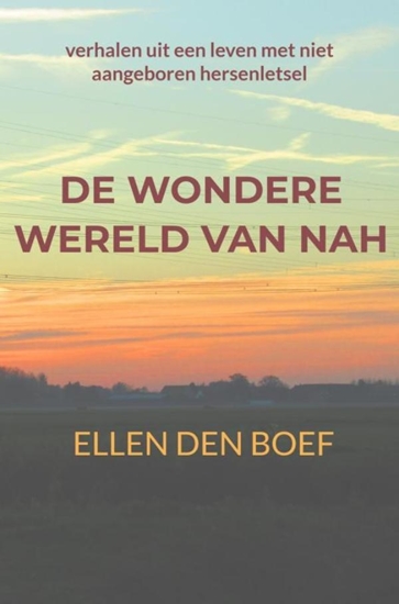 Afbeelding van de wondere wereld van NAH