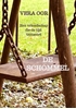 Afbeelding van De Schommel