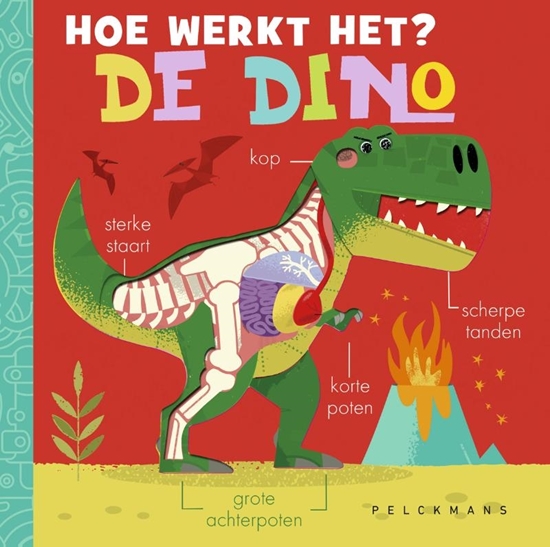 Afbeelding van Hoe werkt het? De dino