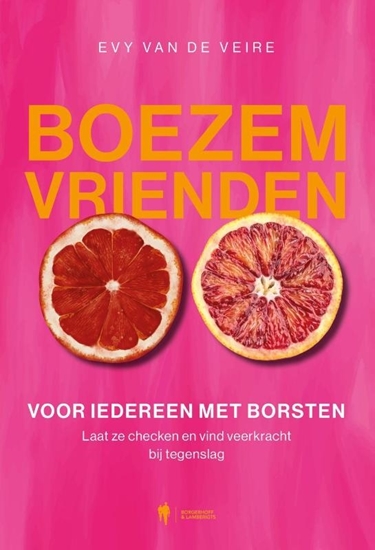 Afbeelding van Boezemvrienden