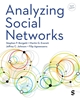 Afbeelding van Analyzing Social Networks