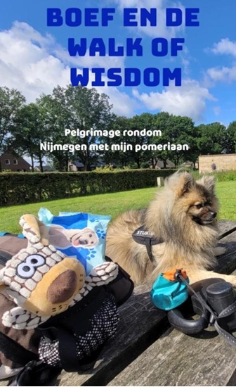 Afbeelding van Boef en de Walk of Wisdom