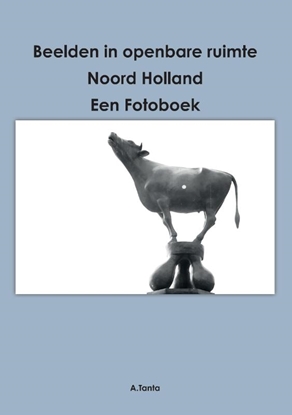 Afbeeldingen van Beelden in openbare ruimte Noord Holland