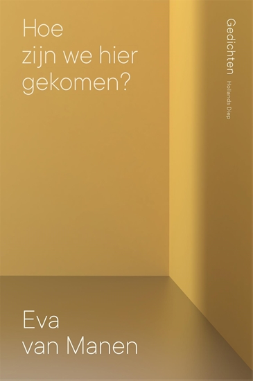 Afbeelding van Hoe zijn we hier gekomen?