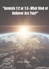 Afbeelding van "Genesis 1:2 or 1:3—What Kind of Believer Are You?"