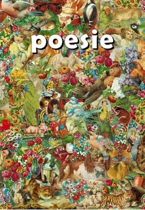 Afbeeldingen van poesie