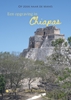 Afbeelding van Een opgraving in Chiapas