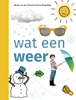 Afbeelding van ik lees informatief wat een weer