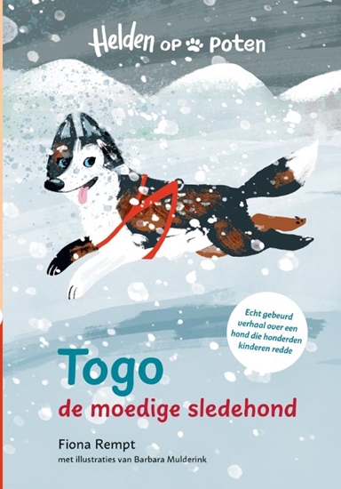 Afbeelding van Helden op poten Togo, de moedige sledehond