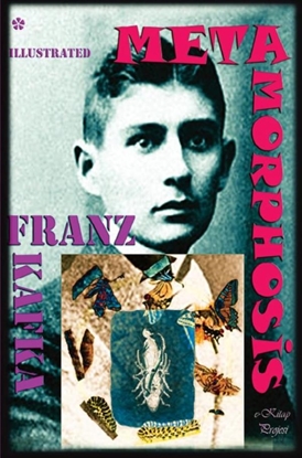 Afbeeldingen van Metamorphosis