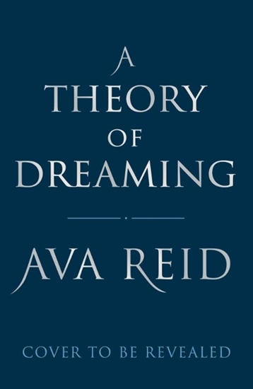 Afbeelding van A Theory of Dreaming