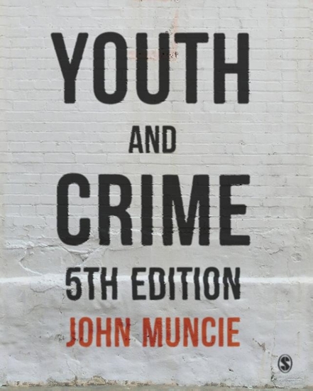 Afbeelding van Youth and Crime
