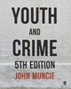 Afbeelding van Youth and Crime