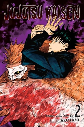 Afbeeldingen van Jujutsu Kaisen Jujutsu Kaisen, Vol. 2