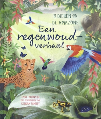 Afbeeldingen van Een regenwoudverhaal