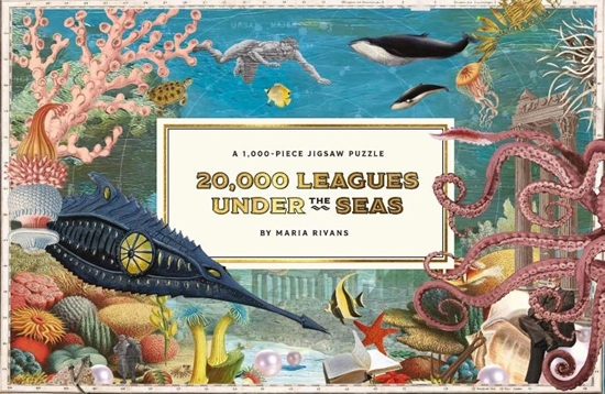 Afbeelding van 20,000 Leagues Under the Sea