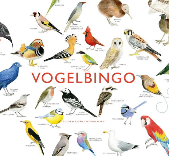 Afbeelding van Vogelbingo