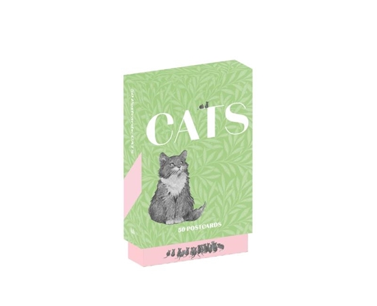 Afbeelding van Cats of the V&A