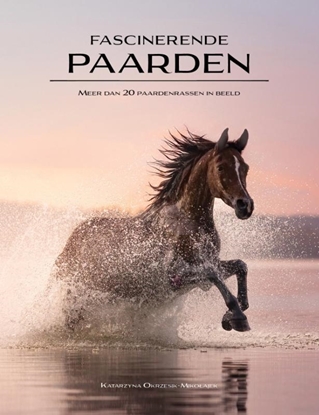 Afbeeldingen van Fascinerende paarden