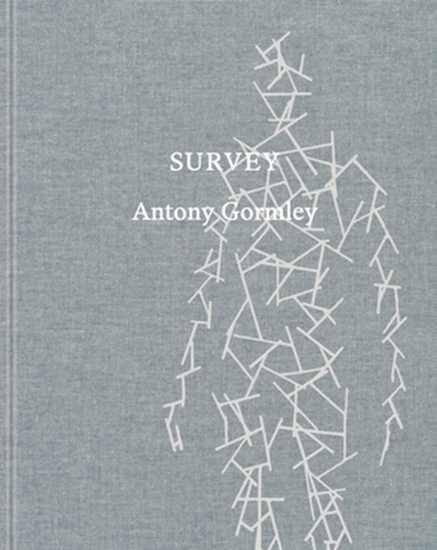 Afbeelding van Antony Gormley: Survey