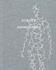 Afbeelding van Antony Gormley: Survey