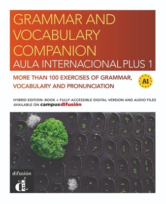 Afbeeldingen van Aula Internacional Plus Aula Internacional Plus 1 Grammar and vocabulary companion Hybrid edition