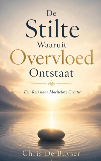 Afbeelding van De Stilte Waaruit Overvloed Ontstaat