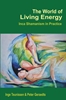Afbeelding van The World of Living Energy