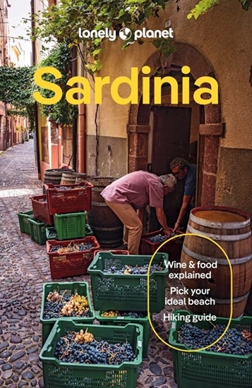 Afbeelding van Lonely Planet Country Guide Lonely Planet Sardinia