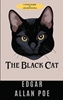 Afbeelding van The Black Cat