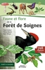 Afbeelding van Faune et flore de la Forêt de Soignes