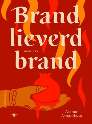 Afbeeldingen van Brand lieverd brand