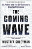 Afbeelding van The Coming Wave