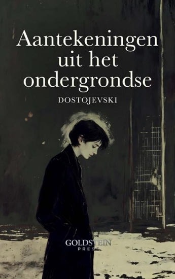 Afbeelding van Aantekeningen uit het Ondergrondse