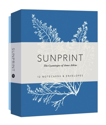Afbeeldingen van Sunprint Notecards
